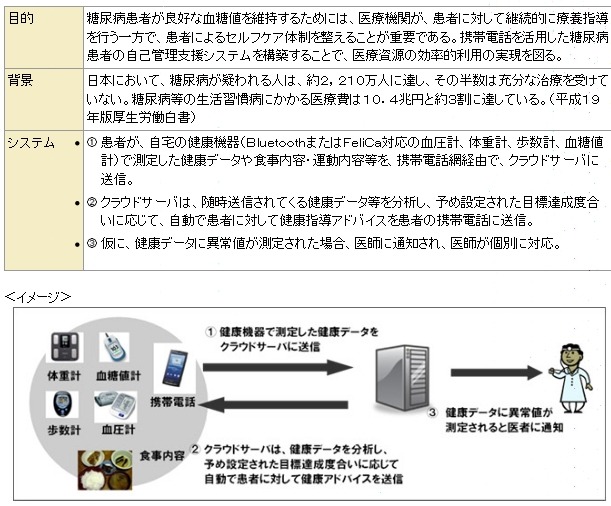 携帯電話を活用した2型糖尿病患者の自己管理支援システム