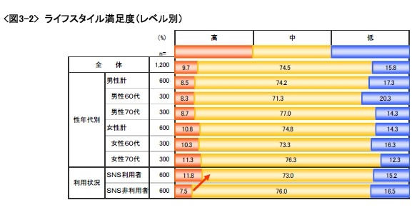 ライフスタイル満足度（レベル、プロフィール別）