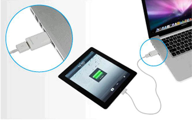 iPadとパソコンに接続した利用イメージ(パソコン/iPadは別売)