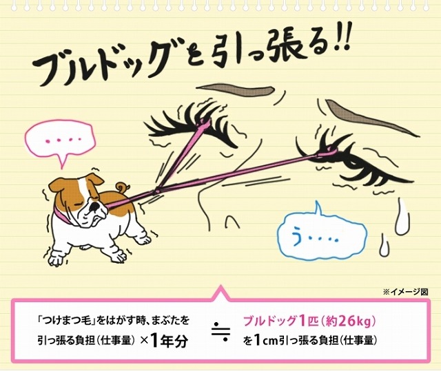 つけまつ毛をはがす時に、まぶたを引っ張る負担（仕事量）は、ブルドッグ1匹（約26kg）を引っ張るのとほぼ同じ