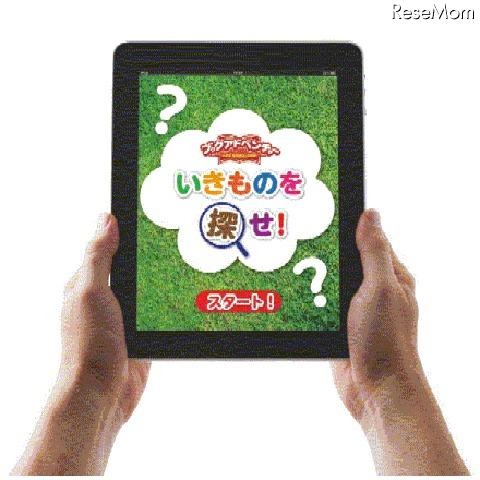 いきものを探せ!