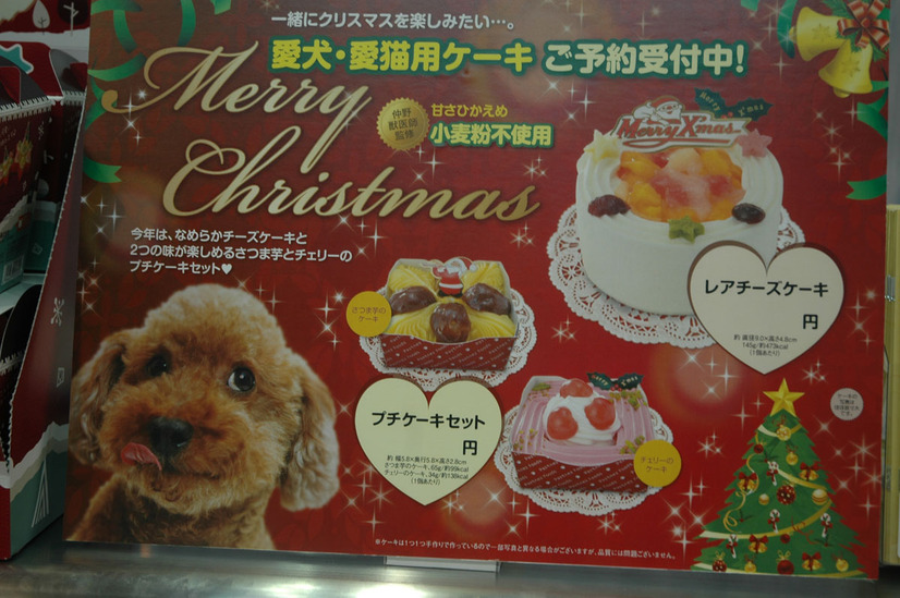 ペットライブラリはペット関連の卸を手掛ける。クリスマスケーキは昨年35000を売った。