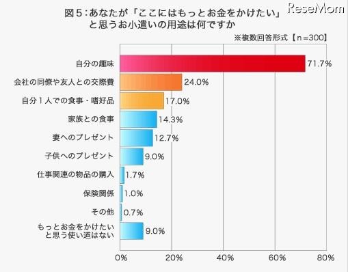 あなたが「ここはもっとお金をかけたい」と思うお小遣いの用途は何ですか、三井ダイレクト損害保険調査