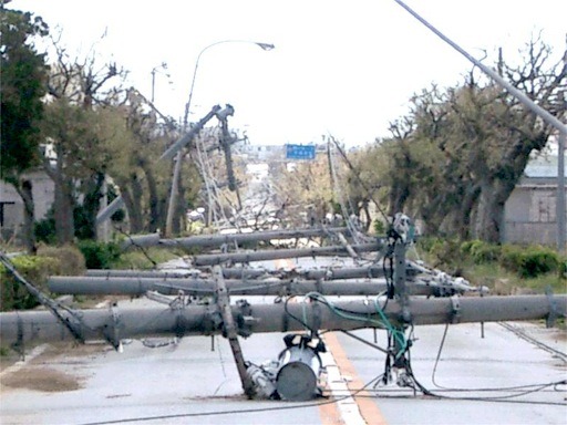 資料：平成15年（2003年）台風第14号の強風害。宮古島。最大瞬間風速74.1メートル