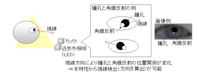 角膜反射法の仕組み