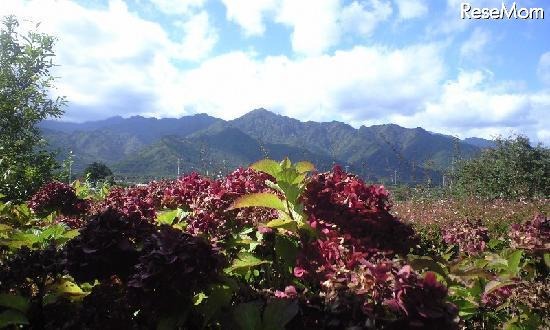 安曇野ちひろ美術館