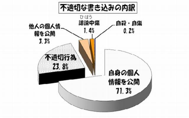 不適切な書込みの内訳