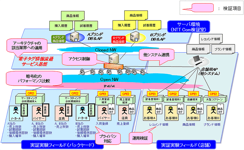 実験の概要図