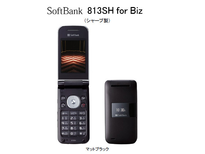 SoftBank 813SH for Biz