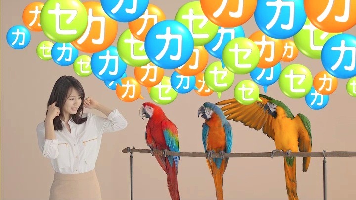 カカセ・オウム篇
