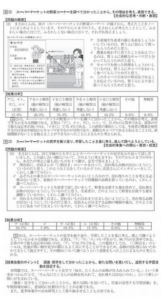 問題の概要と結果分析（小学校社会）