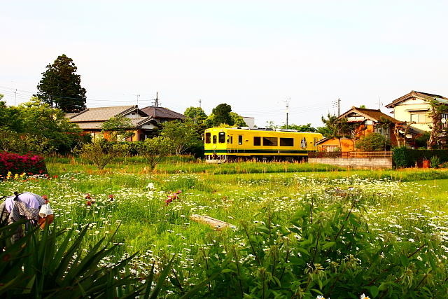 いすみ鉄道