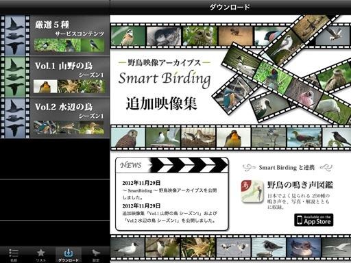 野鳥映像アーカイブス・追加映像集