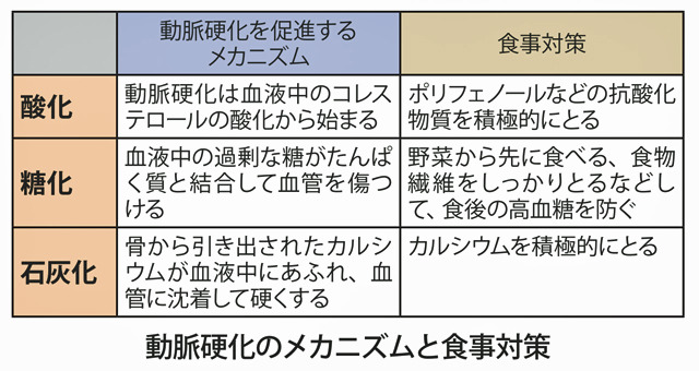 動脈硬化のメカニズムと食事対策