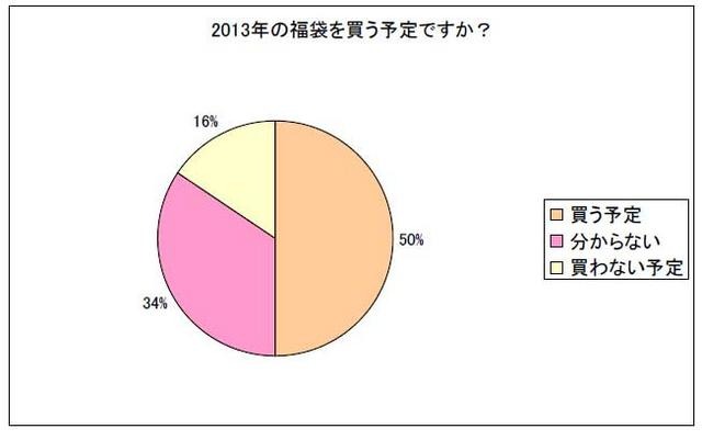 2013年の福袋を買う予定ですか？