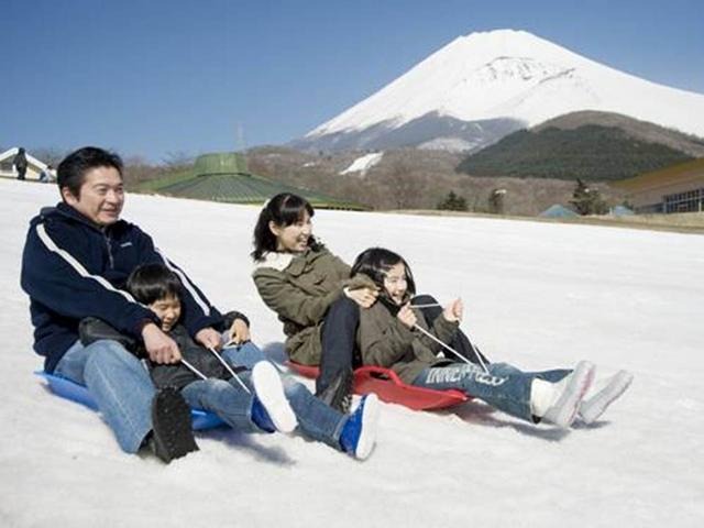 富士山を臨む