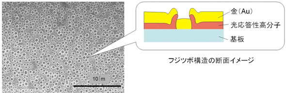 フジツボ構造の走査型電子顕微鏡写真と断面のイメージ