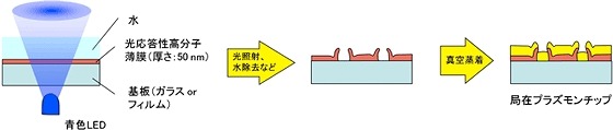 フジツボ構造の形成プロセス