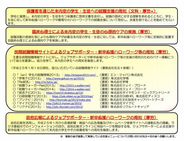 未内定就活生への集中支援2013