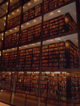 イェール大学 バイネッキ図書館