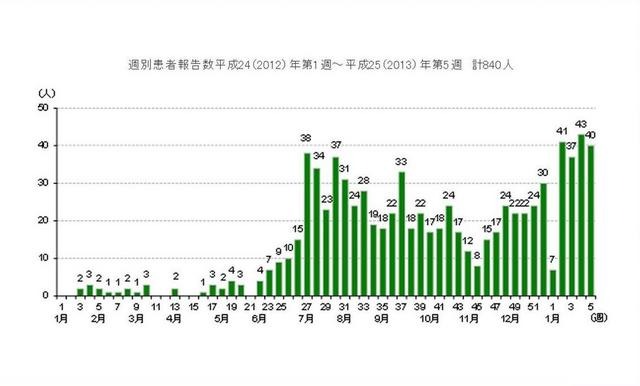 週別患者報告数（2012年第1週～2013年第5週）