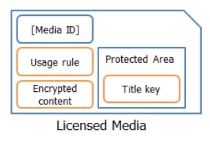 ライセンスドメディアの構造（NSM Initiatives資料より）