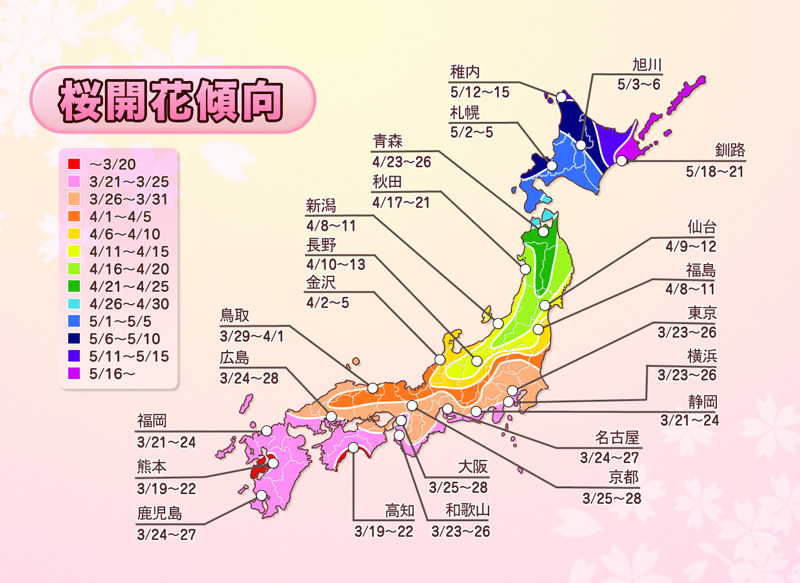 各都道府県における2013年桜開花傾向