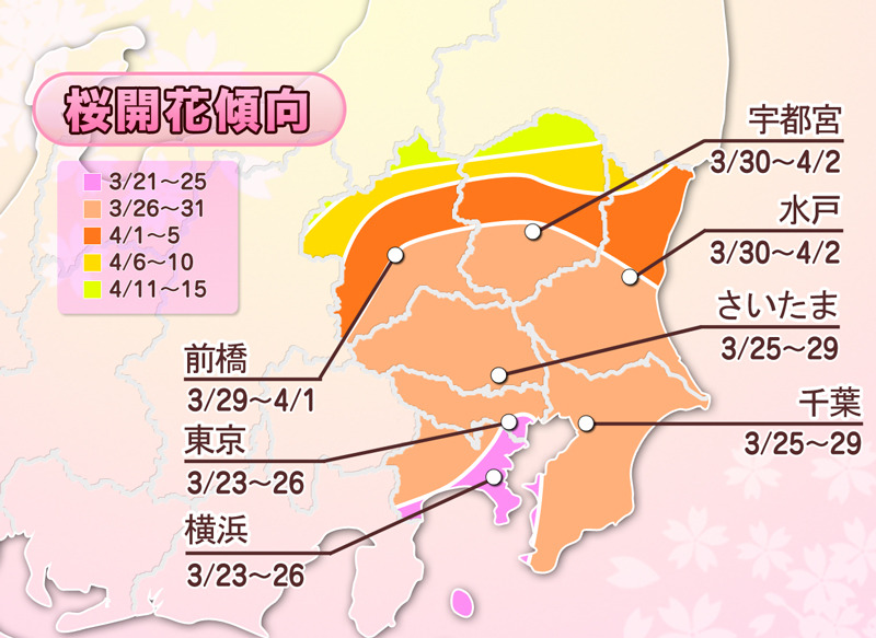 関東地方の2013年桜開花傾向