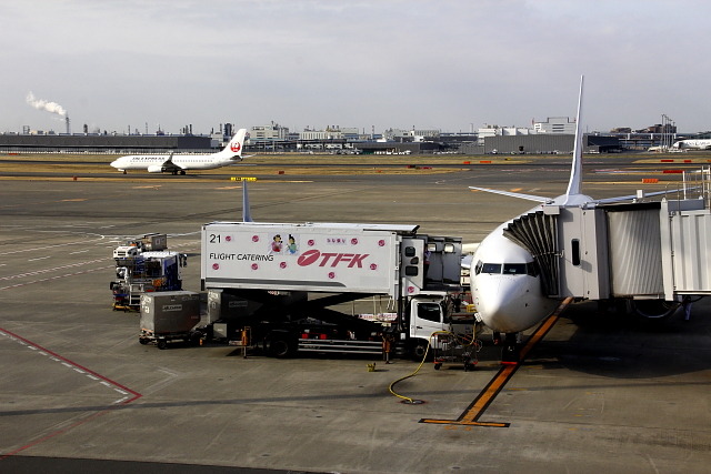 JAL「ひなまつりフライト」