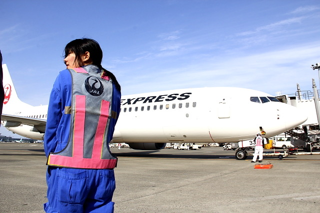 JAL「ひなまつりフライト」