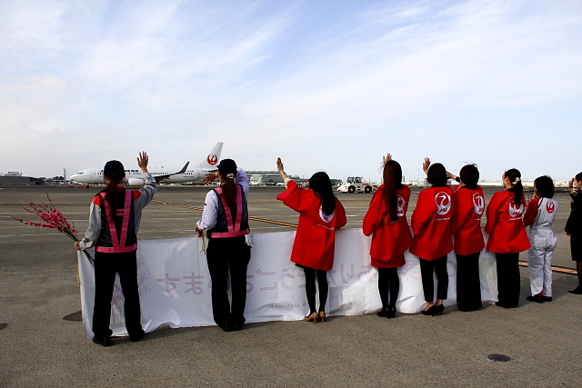 JAL「ひなまつりフライト」