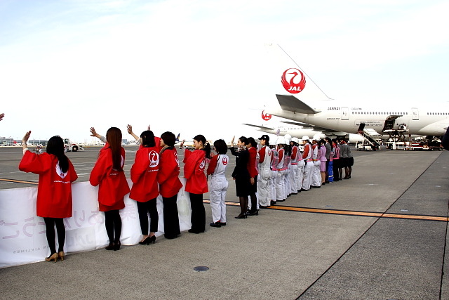 JAL「ひなまつりフライト」