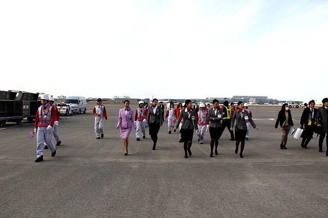 JAL「ひなまつりフライト」