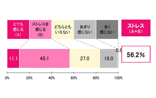 掃除ストレス