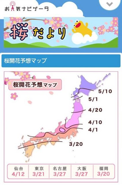 お天気ナビゲータ「桜開花・満開予想」