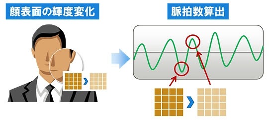 脈拍検出の様子