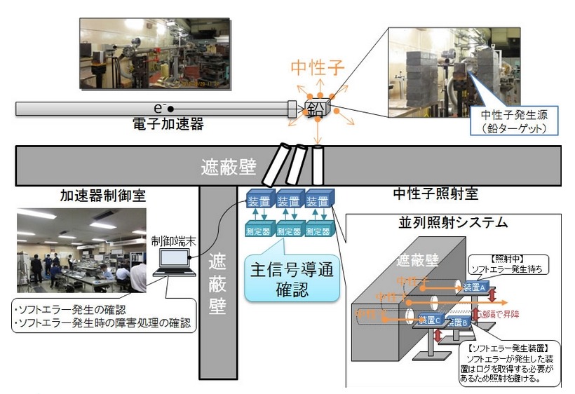 実験概要