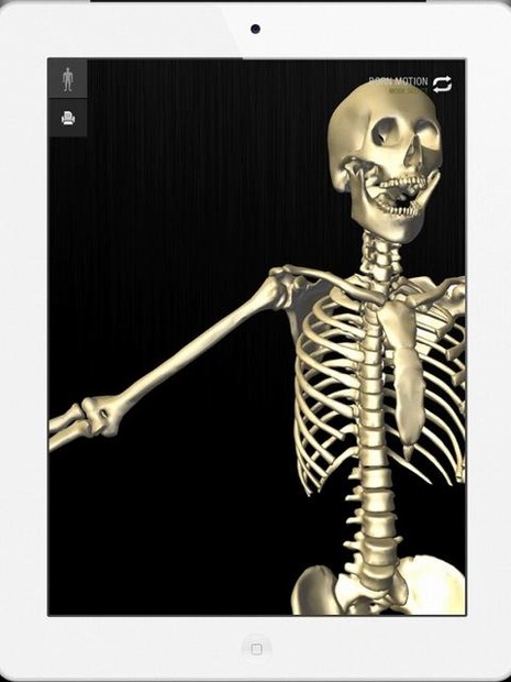 3D人体解剖アプリ、teamLabBody