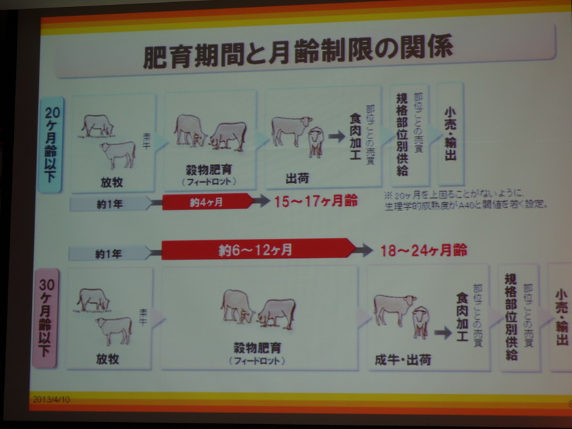 輸入の月齢制限による影響