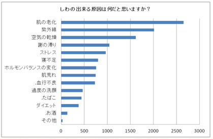 しわの出来る原因は何だと思いますか？