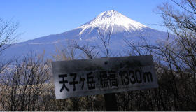 田貫湖周辺から望む富士山
