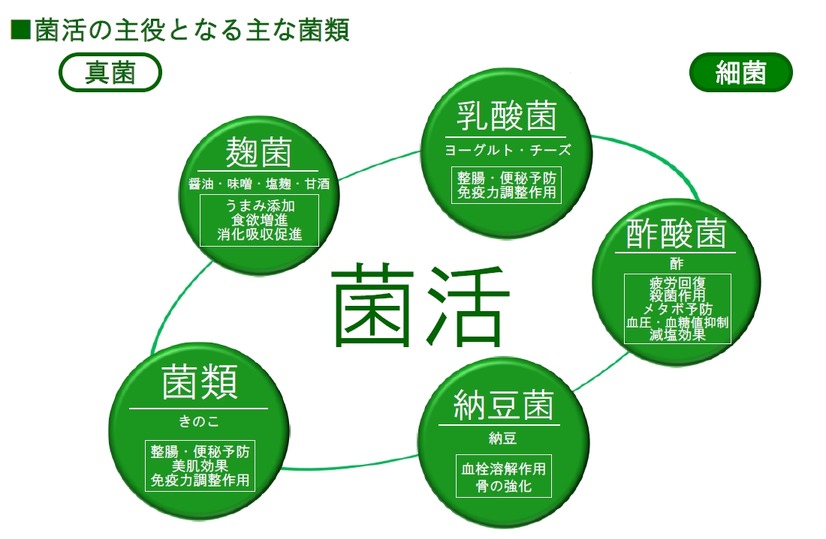 菌活の主役となる主な菌類