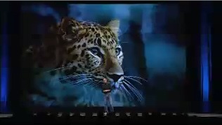 Leopardのプレゼン