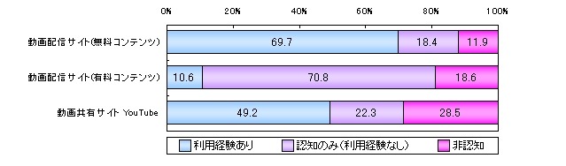 動画関連サイトの利用動向