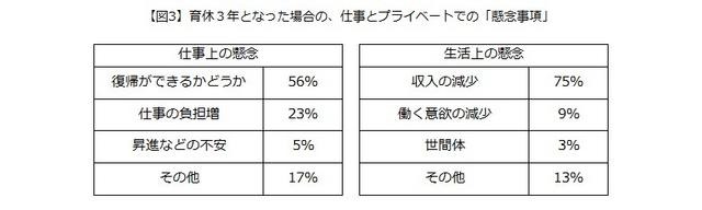 育休3年制度についての懸念事項