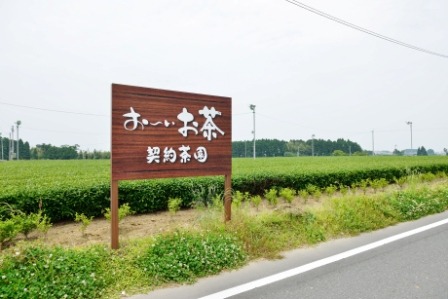 「お～いお茶専用茶葉」も一部使用