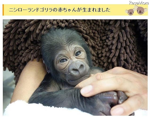 動物園