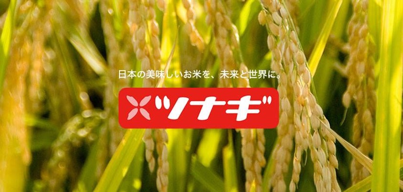 ツナギ