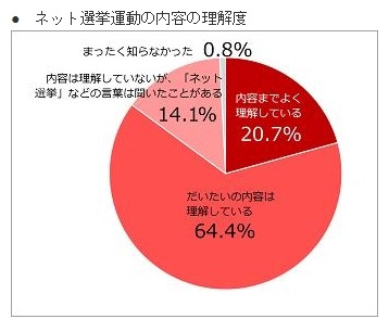 ネット選挙運動の内容の理解度