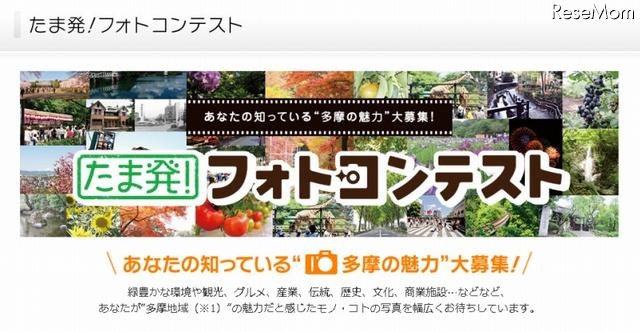たま発！フォトコンテスト